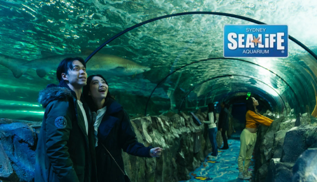 Iglu goes to the Aquarium